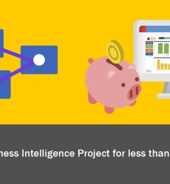 Business Intelligence Low Cost