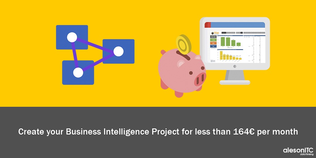 Business Intelligence Low Cost