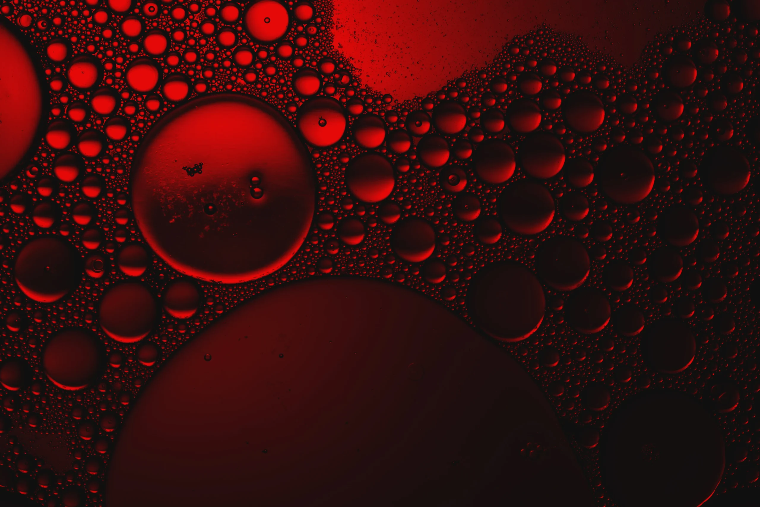 abstract-bubbles-of-red-and-black-2026-03-17-03-55-03-utc_correcto