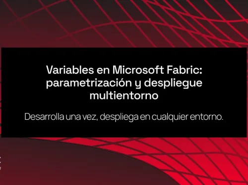 fabric multientorno_correcto