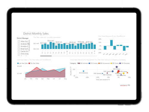 Panel Power BI